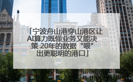 宁波舟山港穿山港区让AI算力既懂业务又能决策 20年的数据“喂”出更聪明的港口