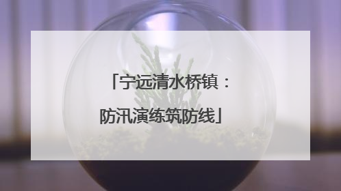 宁远清水桥镇：防汛演练筑防线