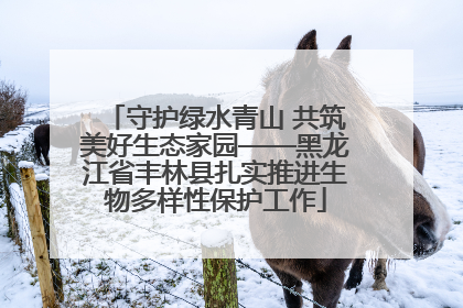 守护绿水青山 共筑美好生态家园——黑龙江省丰林县扎实推进生物多样性保护工作