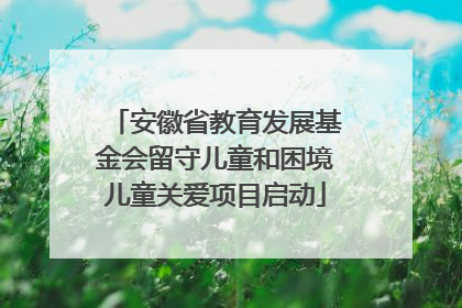 安徽省教育发展基金会留守儿童和困境儿童关爱项目启动