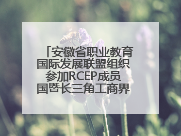 安徽省职业教育国际发展联盟组织参加RCEP成员国暨长三角工商界青年对话会