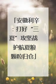 安徽利辛：打好“三夏”攻坚战 护航夏粮颗粒归仓