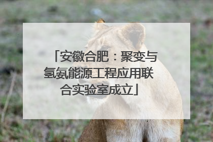 安徽合肥：聚变与氢氨能源工程应用联合实验室成立