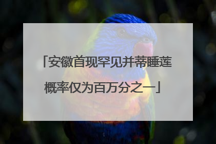 安徽首现罕见并蒂睡莲 概率仅为百万分之一