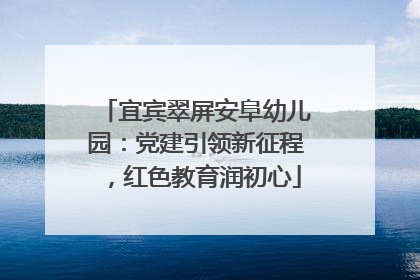 宜宾翠屏安阜幼儿园：党建引领新征程，红色教育润初心