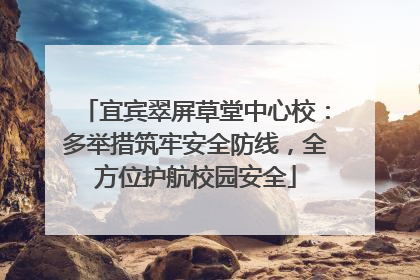 宜宾翠屏草堂中心校：多举措筑牢安全防线，全方位护航校园安全