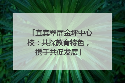 宜宾翠屏金坪中心校：共探教育特色，携手共促发展