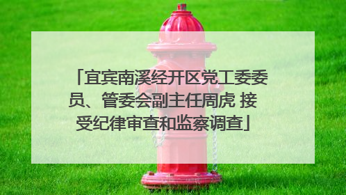 宜宾南溪经开区党工委委员、管委会副主任周虎 接受纪律审查和监察调查