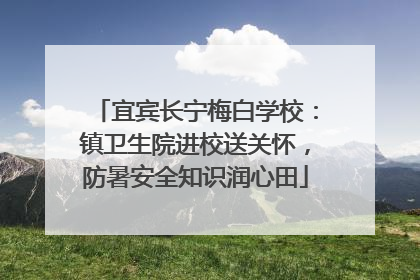 宜宾长宁梅白学校：镇卫生院进校送关怀，防暑安全知识润心田