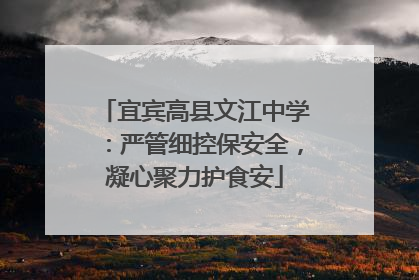 宜宾高县文江中学：严管细控保安全，凝心聚力护食安