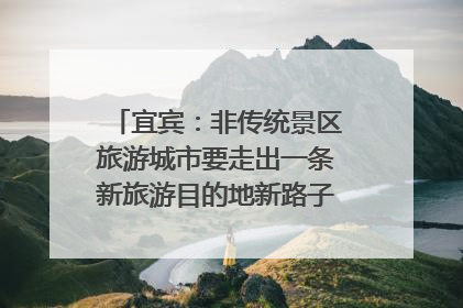 宜宾：非传统景区旅游城市要走出一条新旅游目的地新路子｜话锦绣·说安逸