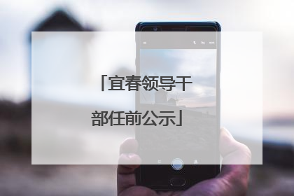 宜春领导干部任前公示