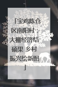宝鸡陈仓区南阳村：大棚经济结硕果 乡村振兴绘新图