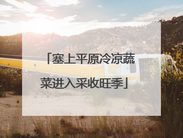 塞上平原冷凉蔬菜进入采收旺季