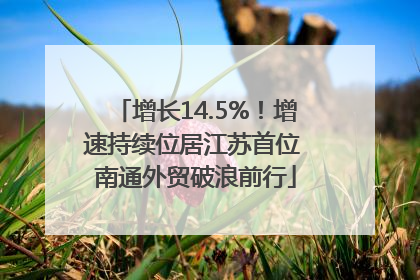 增长14.5%！增速持续位居江苏首位 南通外贸破浪前行