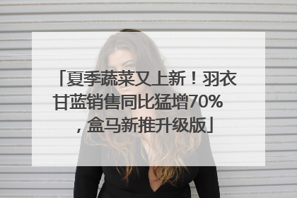 夏季蔬菜又上新！羽衣甘蓝销售同比猛增70%，盒马新推升级版