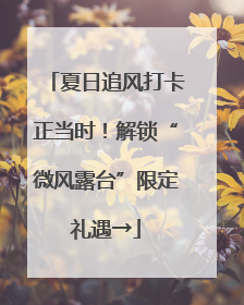 夏日追风打卡正当时！解锁“微风露台”限定礼遇→