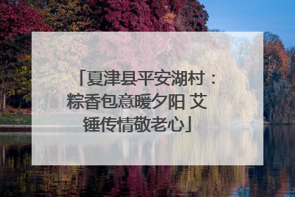 夏津县平安湖村：粽香包意暖夕阳 艾锤传情敬老心