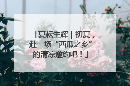 夏耘生辉｜初夏，赴一场“西瓜之乡”的清凉邀约吧！