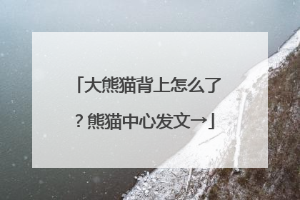 大熊猫背上怎么了？熊猫中心发文→