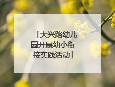 大兴路幼儿园开展幼小衔接实践活动