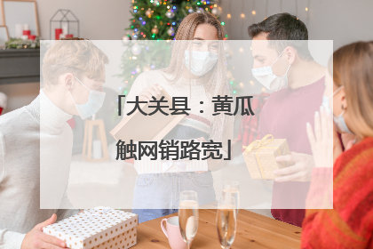 大关县：黄瓜触网销路宽