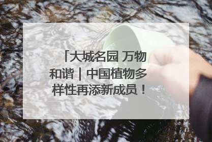 大城名园 万物和谐｜中国植物多样性再添新成员！它只在西藏墨脱