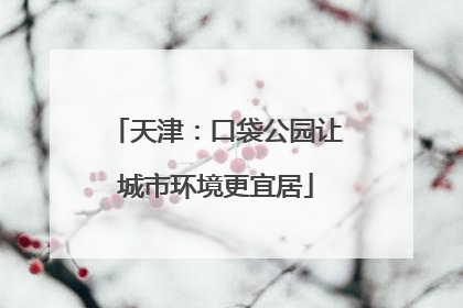 天津：口袋公园让城市环境更宜居