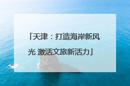 天津：打造海岸新风光 激活文旅新活力