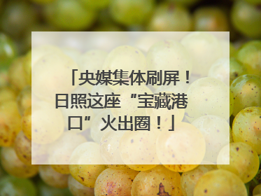 央媒集体刷屏！日照这座“宝藏港口”火出圈！