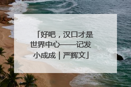 好吧，汉口才是世界中心——记发小成成｜严辉文