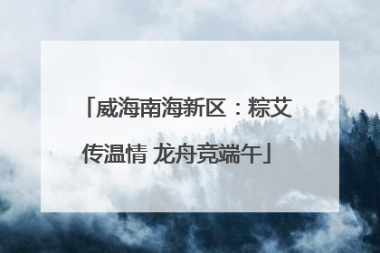 威海南海新区：粽艾传温情 龙舟竞端午