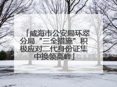 威海市公安局环翠分局“三全措施”积极应对二代身份证集中换领高峰