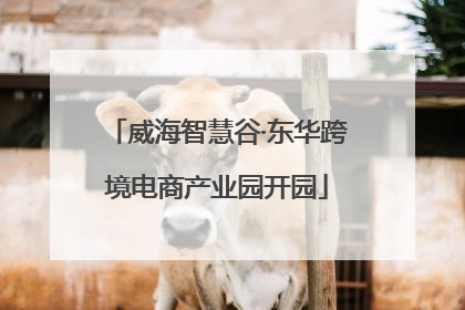 威海智慧谷·东华跨境电商产业园开园