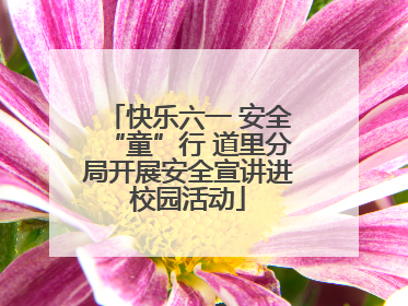 快乐六一 安全“童”行 道里分局开展安全宣讲进校园活动