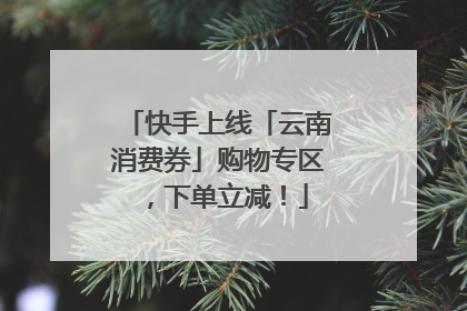 快手上线「云南消费券」购物专区，下单立减！