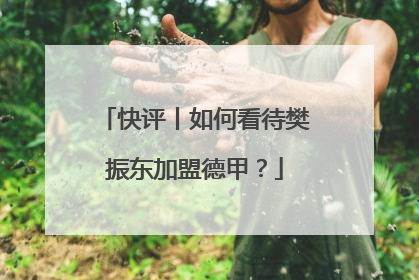 快评丨如何看待樊振东加盟德甲？