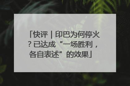 快评｜印巴为何停火？已达成“一场胜利，各自表述”的效果