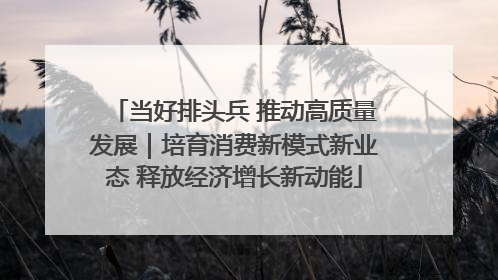 当好排头兵 推动高质量发展｜培育消费新模式新业态 释放经济增长新动能