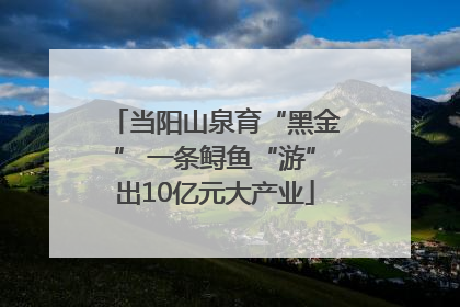 当阳山泉育“黑金” 一条鲟鱼“游”出10亿元大产业