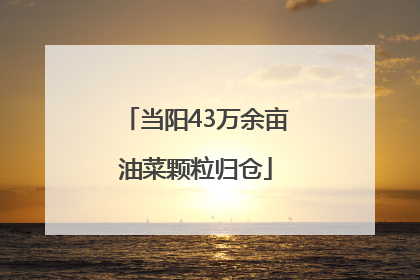 当阳43万余亩油菜颗粒归仓