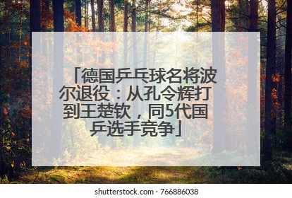 德国乒乓球名将波尔退役：从孔令辉打到王楚钦，同5代国乒选手竞争