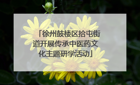 徐州鼓楼区拾屯街道开展传承中医药文化主题研学活动