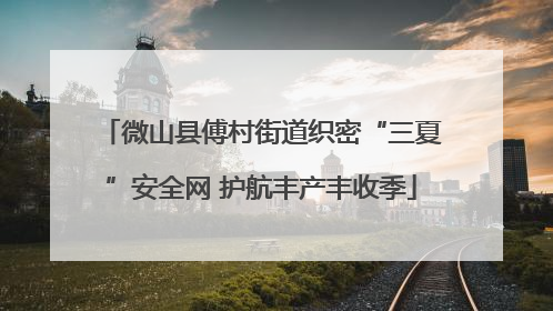 微山县傅村街道织密“三夏”安全网 护航丰产丰收季
