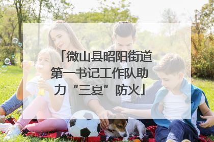 微山县昭阳街道第一书记工作队助力“三夏”防火