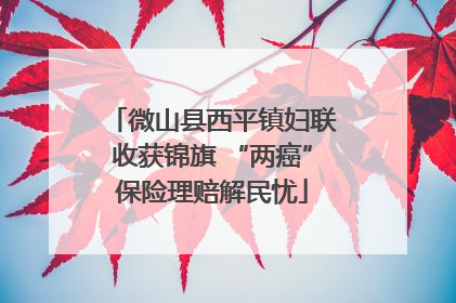微山县西平镇妇联收获锦旗 “两癌”保险理赔解民忧