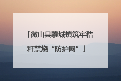 微山县驩城镇筑牢秸秆禁烧“防护网”