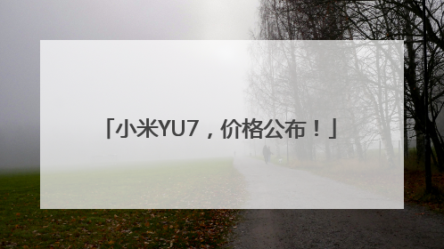 小米YU7，价格公布！