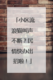 小区流浪猫叫声不断？民情快办出招啦！
