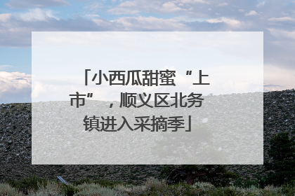 小西瓜甜蜜“上市”，顺义区北务镇进入采摘季